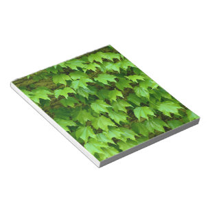 Bloc De Notas Boston Ivy