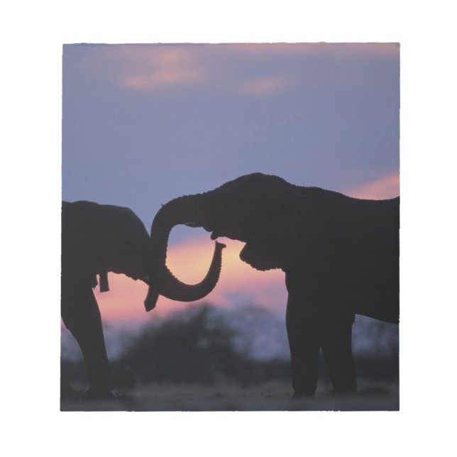 Bloc De Notas Botswana, Parque Nacional Chobe, Elefantes (Frente)