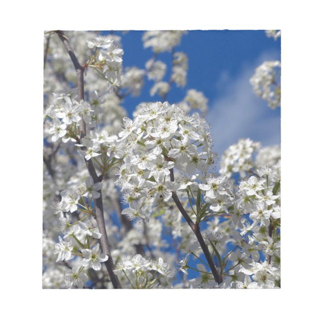 Bloc De Notas Bradford Pear Blooms (Frente)