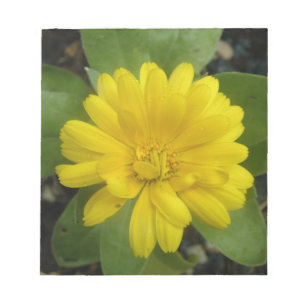 Bloc De Notas Bright Yellow Marigold Notepad