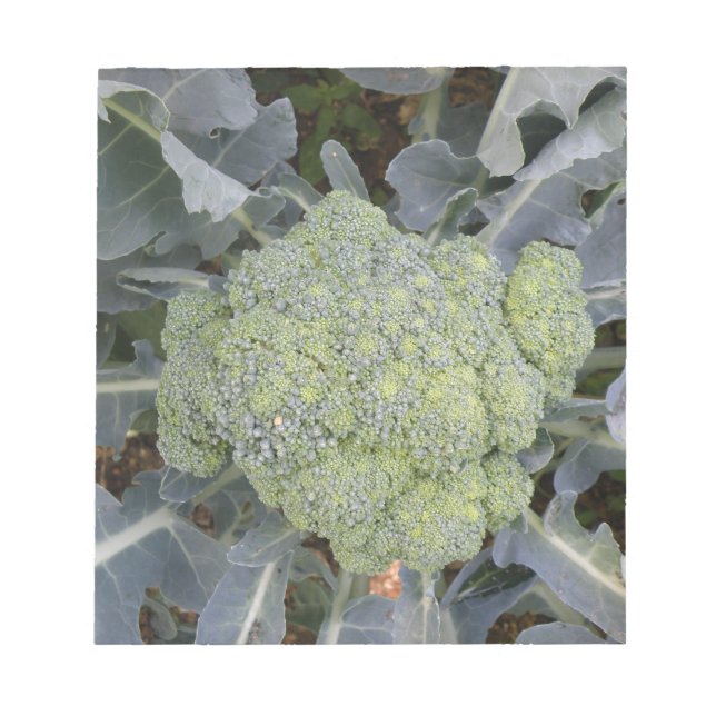 Bloc De Notas Broccoli Notepad (Frente)