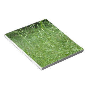 Bloc De Notas Bromus tectorum