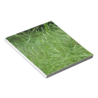Bloc De Notas Bromus tectorum