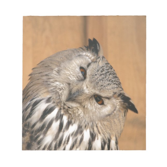 Bloc De Notas Bubo bubo sibiricus (Frente)