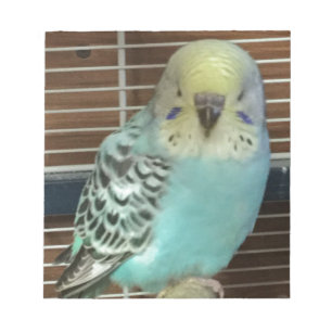 Bloc De Notas Budgie del bebé