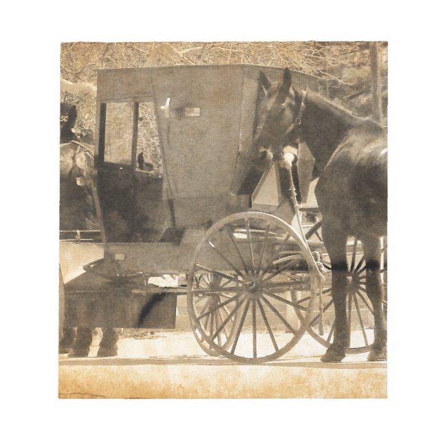 Bloc De Notas Buggy Antes Del Caballo, Amish Trae A Casa Un Caba (Frente)