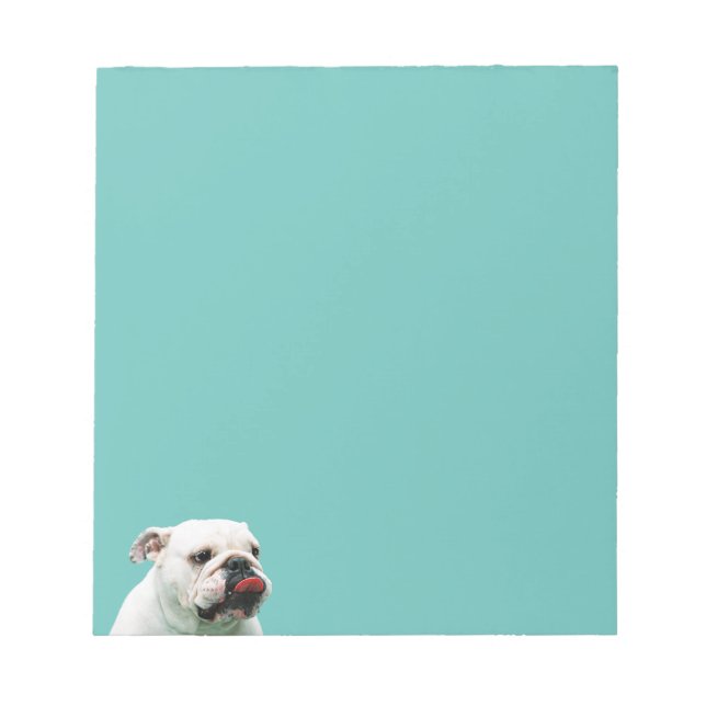 Bloc De Notas Bulldog blanco de perro lindo (Frente)