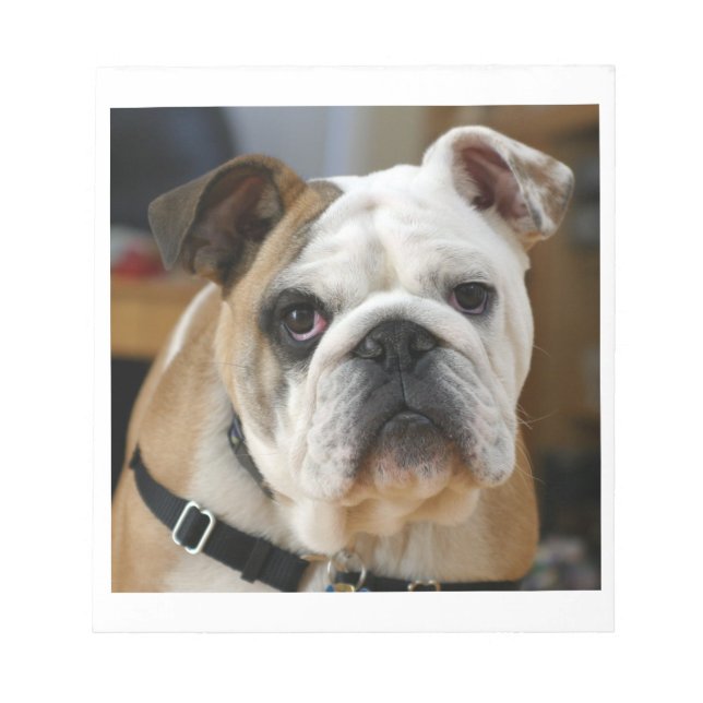 Bloc De Notas Bulldog.png (Frente)