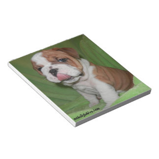 Bloc De Notas Bully Love Bulldog Notepad