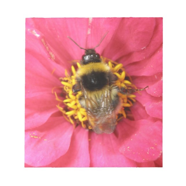 Bloc De Notas Bumblebee Notepad (Frente)