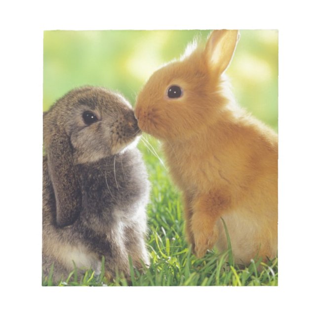 Bloc De Notas Bunny Kiss (Frente)