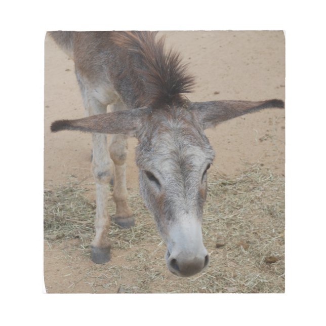 Bloc De Notas Burro largo (Frente)