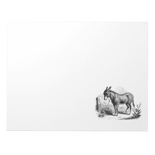 Bloc De Notas Burros retro personalizados de burro doméstico vin (Frente)