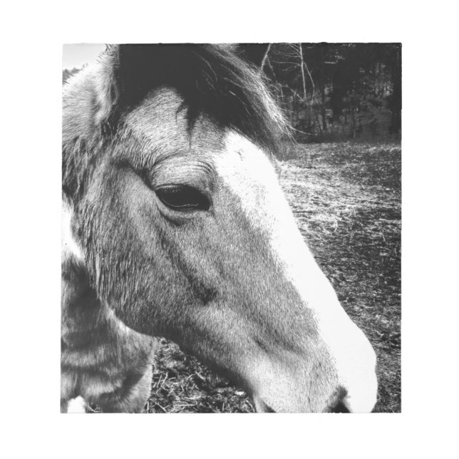 Bloc De Notas Caballo (Frente)