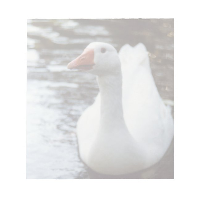 Bloc De Notas Caballo blanco (Frente)