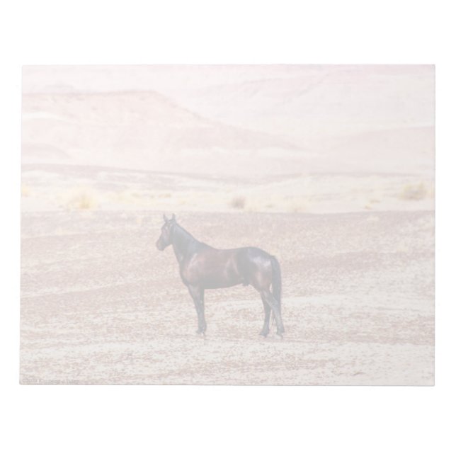 Bloc De Notas Caballo desierto P8664 (Frente)
