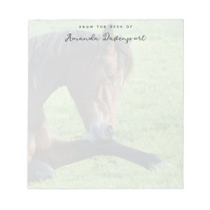 Bloc De Notas Caballo marrón bonito en la hierba