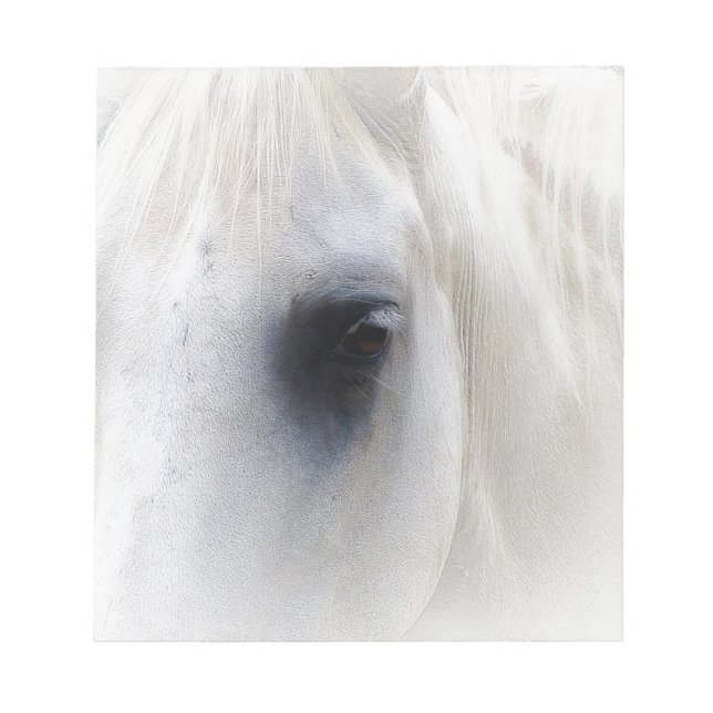 Bloc De Notas Caballo y floral (Frente)