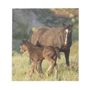 Bloc De Notas Caballos salvajes en el Parque Nacional Theodore R