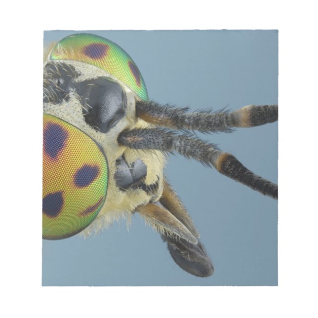 Bloc De Notas Cabeza de mosca de ciervo (Frente)