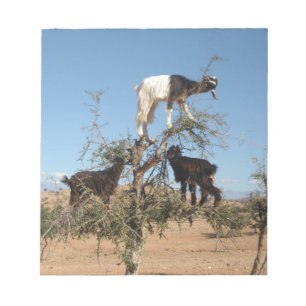 Bloc De Notas Cabras divertidas en un árbol