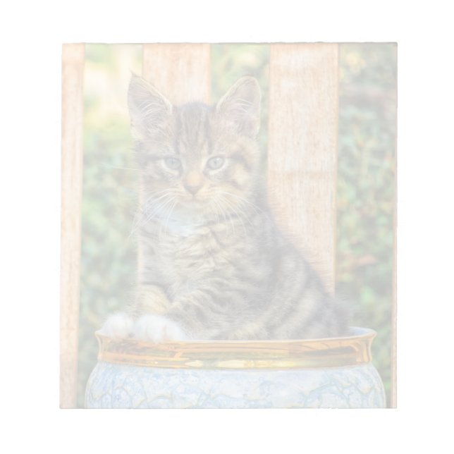 Bloc De Notas Cacerolazo De Gatito Bebé (Frente)