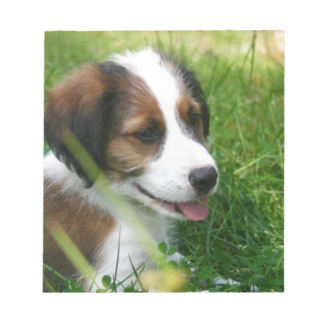 Bloc De Notas Cachorro (Frente)