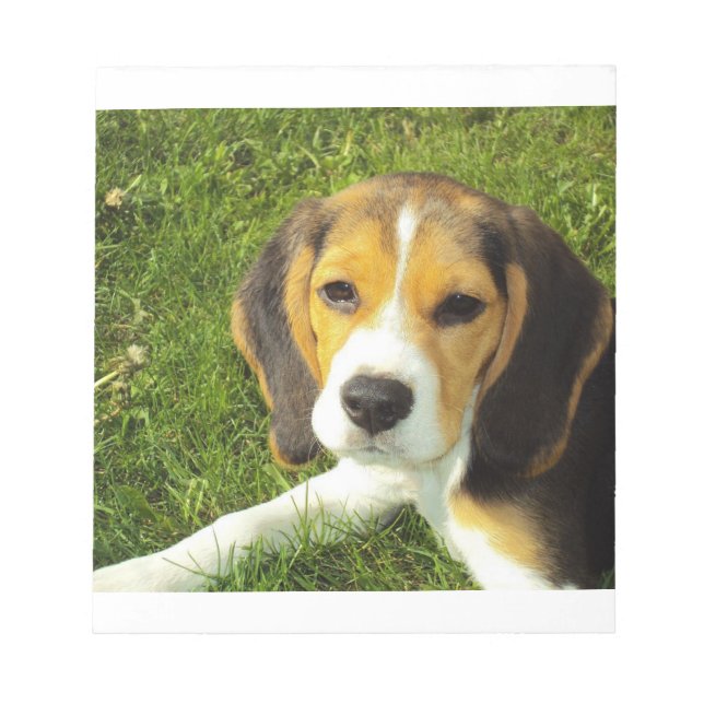 Bloc De Notas cachorro beagle (Frente)
