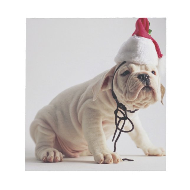 Bloc De Notas Cachorro de bulldog con Sombrero Santa (Frente)