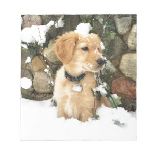 Bloc De Notas Cachorro de nieve