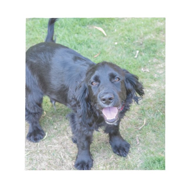 Bloc De Notas Cachorro negro (Frente)