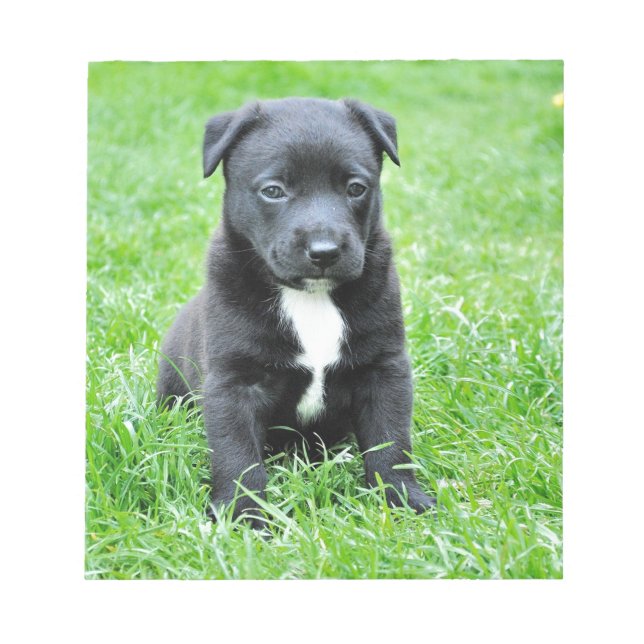 Bloc De Notas Cachorro totalmente adorable (Frente)