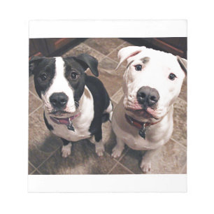 Bloc De Notas cachorros adorables de pitbull perros