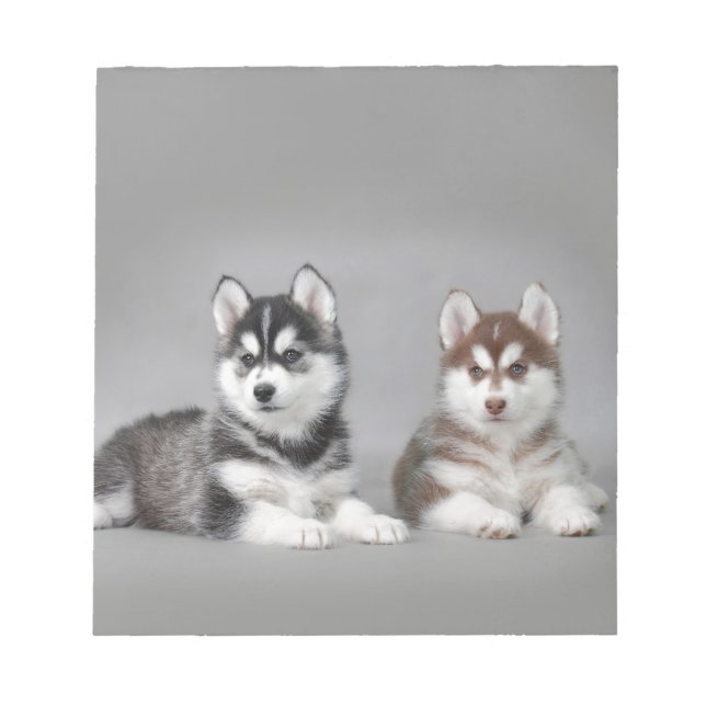 Bloc De Notas Cachorros caseros siberianos (Frente)
