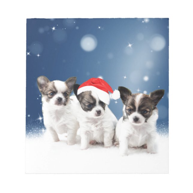 Bloc De Notas Cachorros de Chihuahua con Navidades de Santa Hat (Frente)