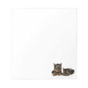 Bloc De Notas Cachorros de Cute Yorkshire Terrier