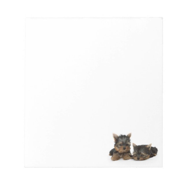 Bloc De Notas Cachorros de Cute Yorkshire Terrier (Frente)