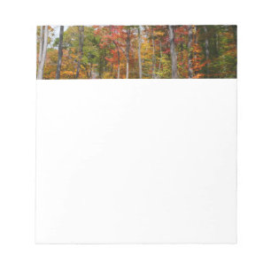 Bloc De Notas Caída en la colorida fotografía de otoño en el bos