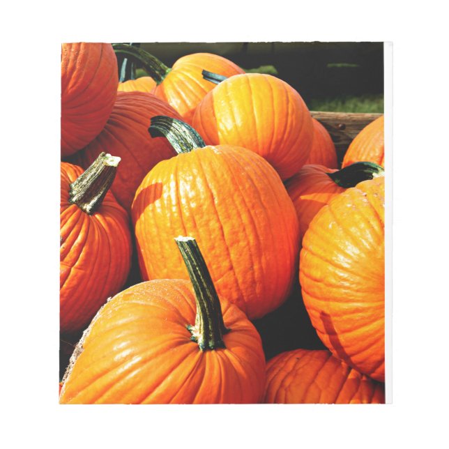 Bloc De Notas ¡¡¡Calabazas!!! (Frente)