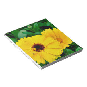 Bloc De Notas Calendula Officinalis