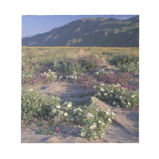 Bloc De Notas California, Anza-Borrego Desert SP, arena (Frente)