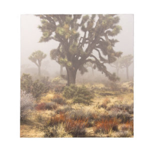 Bloc De Notas California: Monumento Nacional Joshua Tree,