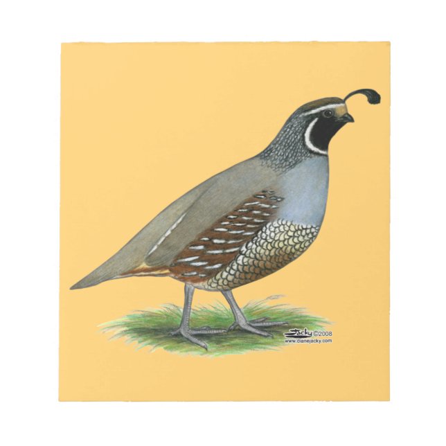 Bloc De Notas California Valley Quail (Frente)