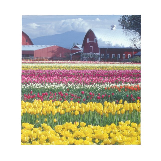 Bloc De Notas Campo de exhibición de tulipanes (Frente)