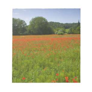 Bloc De Notas Campo de la amapola, Chiusi, Italia