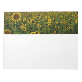 Bloc De Notas Campo de los girasoles Notepad