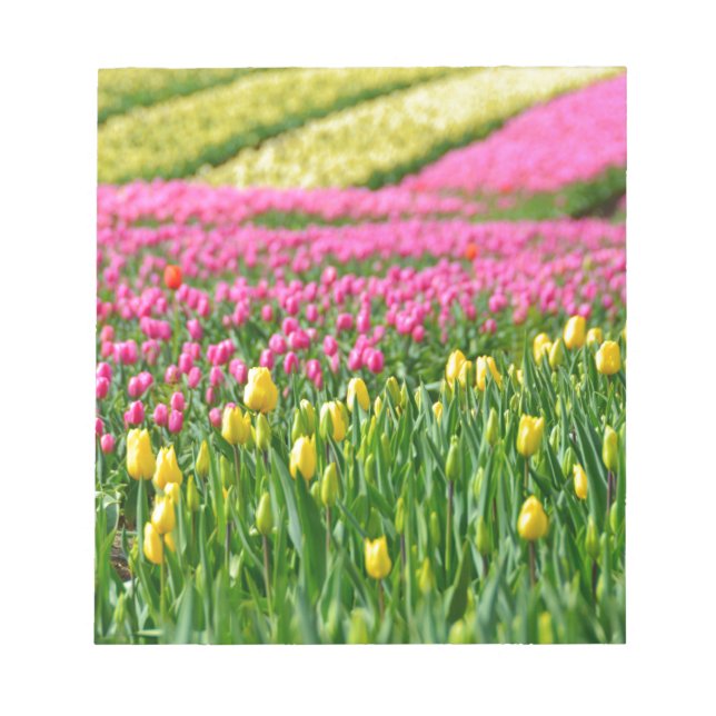 Bloc De Notas Campos de colores (Frente)