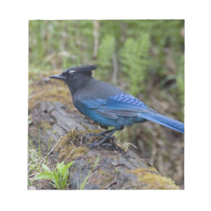 Bloc De Notas Canadá: Columbia Británica, Parque Nacional Yoho,
