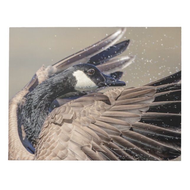 Bloc De Notas Canada Goose (Frente)