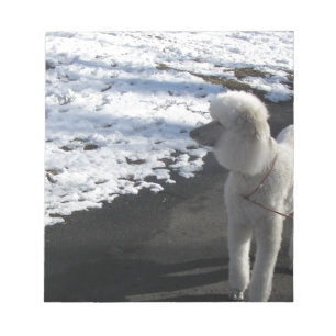 Bloc De Notas Caniche blanco por la nieve